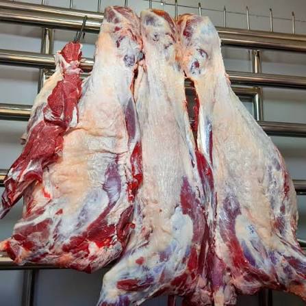 Beef carcass quarters hanging in the butcher cold room