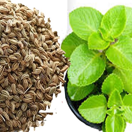 Ajwain & Fresh Herbs